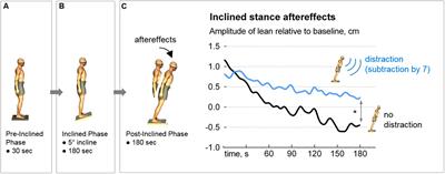 Two Mechanisms of Sensorimotor Set Adaptation to Inclined Stance